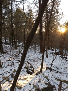 Kings River Development Potential 200+ Acre Farm And Home - image 38