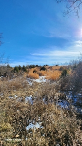 Kings River Development Potential 200+ Acre Farm And Home - image 7