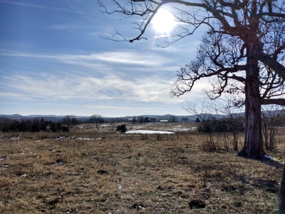 Kings River Development Potential 200+ Acre Farm And Home - image 33