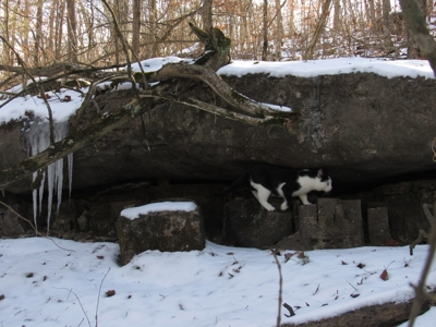 Kings River Development Potential 200+ Acre Farm And Home - image 10