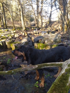 Kings River Development Potential 200+ Acre Farm And Home - image 24