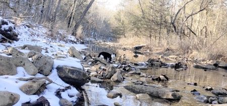 Kings River Development Potential 200+ Acre Farm And Home - image 1