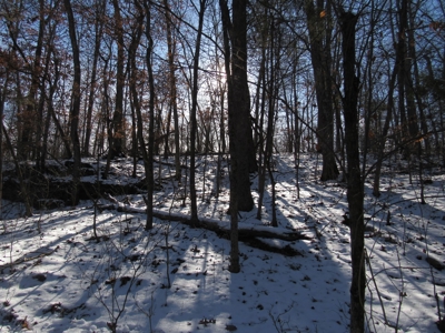 Kings River Development Potential 200+ Acre Farm And Home - image 11