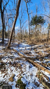 Kings River Development Potential 200+ Acre Farm And Home - image 6