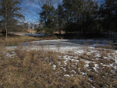 Kings River Development Potential 200+ Acre Farm And Home - image 9