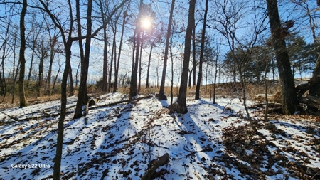 Kings River Development Potential 200+ Acre Farm And Home - image 5