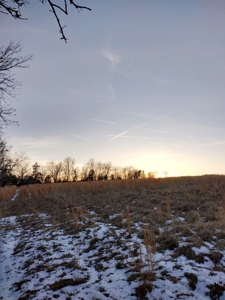 Kings River Development Potential 200+ Acre Farm And Home - image 34