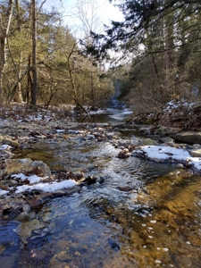 Kings River Development Potential 200+ Acre Farm And Home - image 39