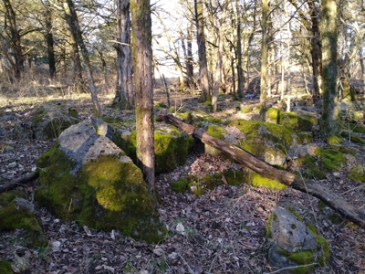 Kings River Development Potential 200+ Acre Farm And Home - image 22