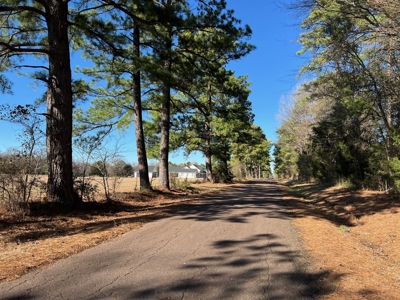 4 East Texas Acres Ready To Build On Winnsboro Wood County - image 7