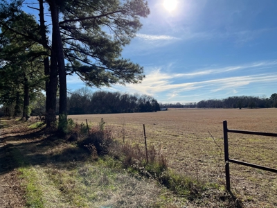 4 East Texas Acres Ready To Build On Winnsboro Wood County - image 8
