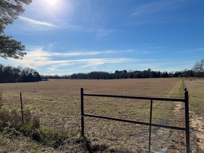 4 East Texas Acres Ready To Build On Winnsboro Wood County - image 1