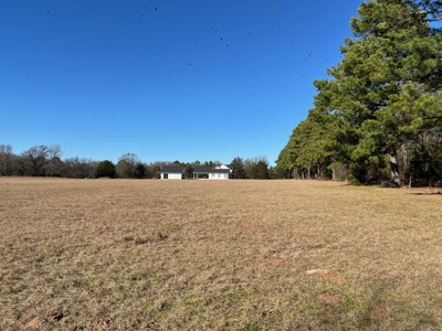 4 East Texas Acres Ready To Build On Winnsboro Wood County - image 2