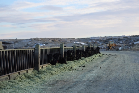Eastern Oregon Briggs Ranch - image 14