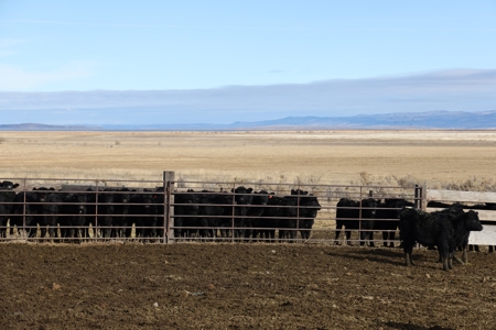Eastern Oregon Briggs Ranch - image 21