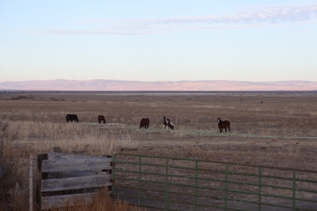 Eastern Oregon Briggs Ranch - image 11