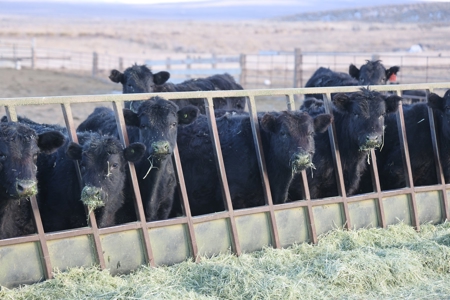 Eastern Oregon Briggs Ranch - image 1