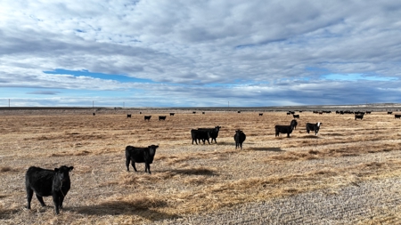 Eastern Oregon Briggs Ranch - image 27