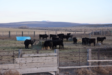 Eastern Oregon Briggs Ranch - image 8