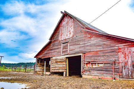 Country Home for Sale on Small Acreage in Lewistown, Montana - image 28