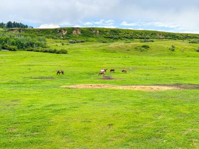 Country Home for Sale on Small Acreage in Lewistown, Montana - image 35