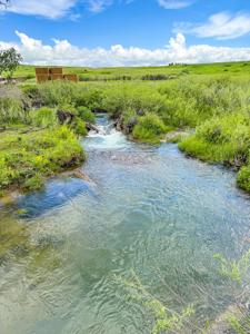 Country Home for Sale on Small Acreage in Lewistown, Montana - image 39