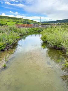 Country Home for Sale on Small Acreage in Lewistown, Montana - image 40