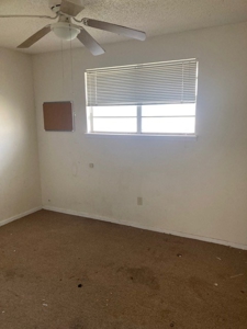 3 bedroom / 2 bath home in West Texas - image 6