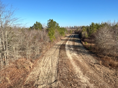 Beaufort County, NC Ultimate Hunting Estate: Ducks & Bucks - image 29
