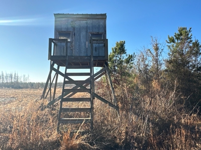 Beaufort County, NC Ultimate Hunting Estate: Ducks & Bucks - image 24