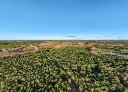 Beaufort County, NC Ultimate Hunting Estate: Ducks & Bucks - image 4