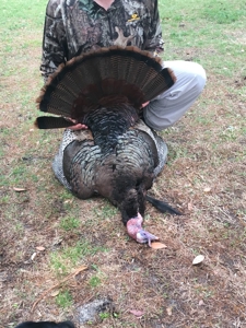 Beaufort County, NC Ultimate Hunting Estate: Ducks & Bucks - image 14
