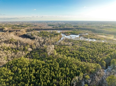 Beaufort County, NC Ultimate Hunting Estate: Ducks & Bucks - image 6