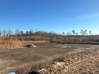 Beaufort County, NC Ultimate Hunting Estate: Ducks & Bucks - image 23
