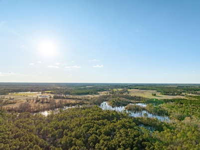 Beaufort County, NC Ultimate Hunting Estate: Ducks & Bucks - image 2