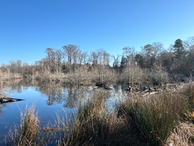 Beaufort County, NC Ultimate Hunting Estate: Ducks & Bucks - image 33