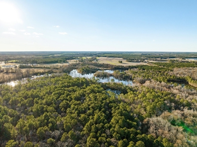Beaufort County, NC Ultimate Hunting Estate: Ducks & Bucks - image 3