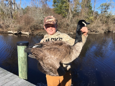 Beaufort County, NC Ultimate Hunting Estate: Ducks & Bucks - image 12