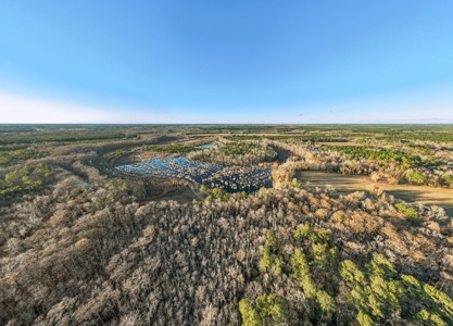 Beaufort County, NC Ultimate Hunting Estate: Ducks & Bucks - image 10