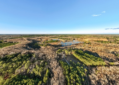 Beaufort County, NC Ultimate Hunting Estate: Ducks & Bucks - image 7