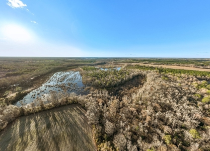 Beaufort County, NC Ultimate Hunting Estate: Ducks & Bucks - image 1