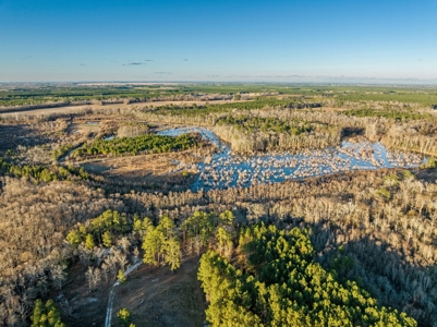 Beaufort County, NC Ultimate Hunting Estate: Ducks & Bucks - image 8