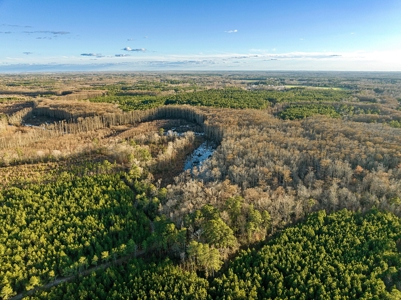 Beaufort County, NC Ultimate Hunting Estate: Ducks & Bucks - image 5