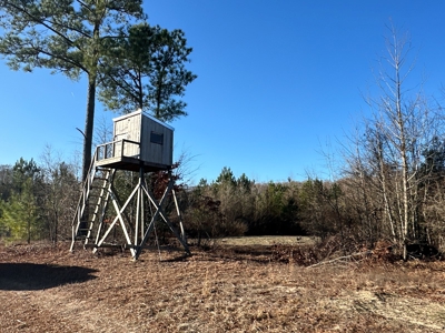 Beaufort County, NC Ultimate Hunting Estate: Ducks & Bucks - image 30
