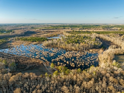 Beaufort County, NC Ultimate Hunting Estate: Ducks & Bucks - image 9