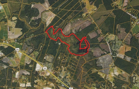 Beaufort County, NC Ultimate Hunting Estate: Ducks & Bucks - image 40
