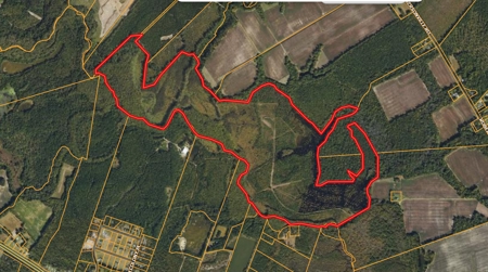 Beaufort County, NC Ultimate Hunting Estate: Ducks & Bucks - image 39