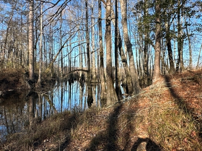 Beaufort County, NC Ultimate Hunting Estate: Ducks & Bucks - image 35