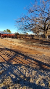Home with Spectacular Views In Freedom, OK - image 11
