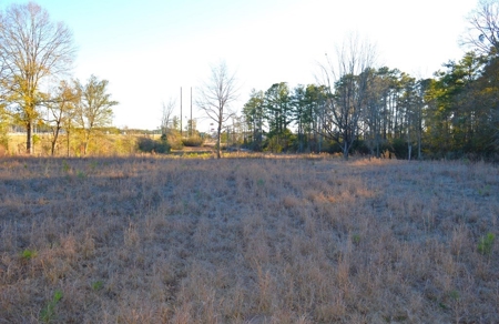 4.5 Acres Commercial Land for Sale with I-55 Frontage - image 10